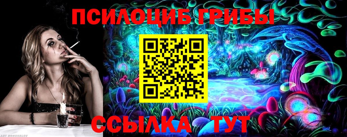 Псилоцибиновые грибы Psilocybe Ялта