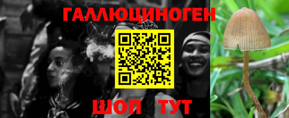 Ялта  Псилоцибиновые грибы мухоморы  Вход с VPN  Псилоцибиновые грибы MAGIC MUSHROOMS 